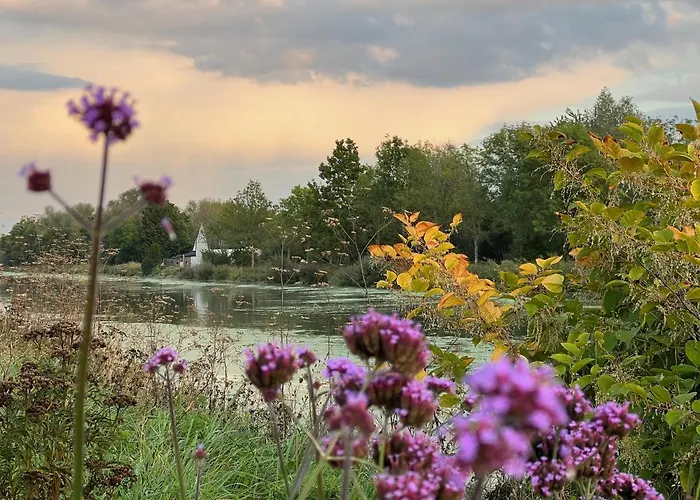 Le Soleil vert : Cottage cadre naturel privilégié